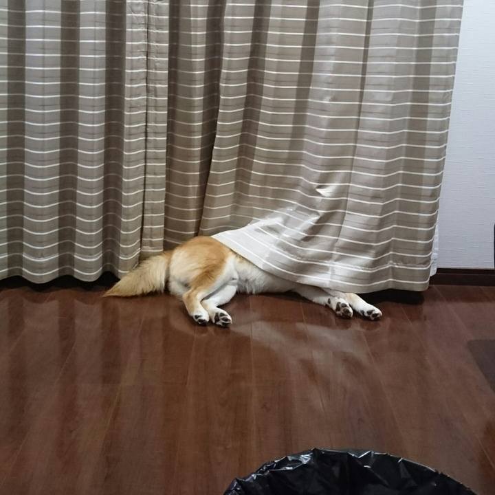 98f1ae38 d017 45ba 9734 82a6949342bd