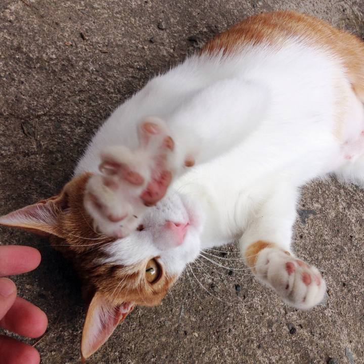 98f1df6a 629e 4332 b66d b806eb6b0ac9