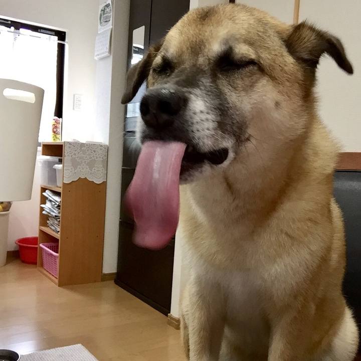 98f2af51 8eb4 4e6f bdb6 39a55def15dd