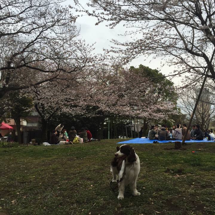 98f3dbf1 b658 4111 ba15 5940ed224d5b