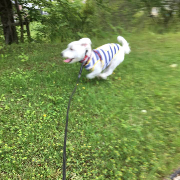 98f3f4a8 6c7e 4741 a85a 2df290e96893