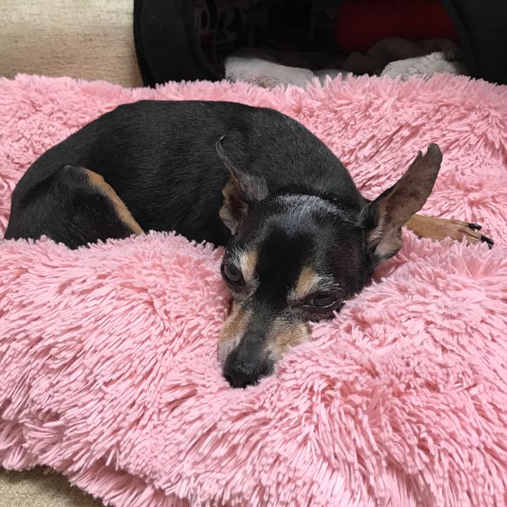 98f42cb4 ac18 4696 8f07 d8bcdecf2e29