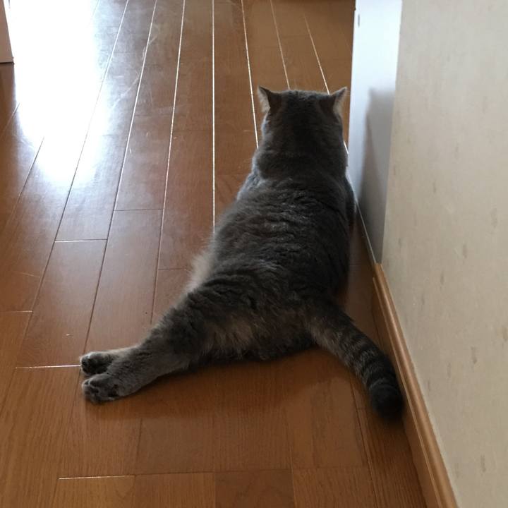 98f493a8 abf7 42fe 832c b522770595e4