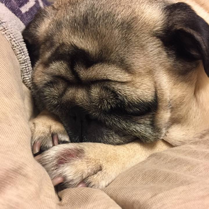 98f4a0c7 aadf 4e3f 9f8f 5f1e44d6cad0