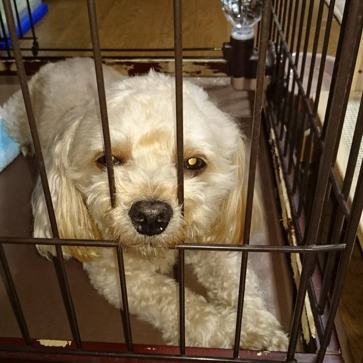 98f56f1d 7b97 4c1e 8afc 7b7cbd058776