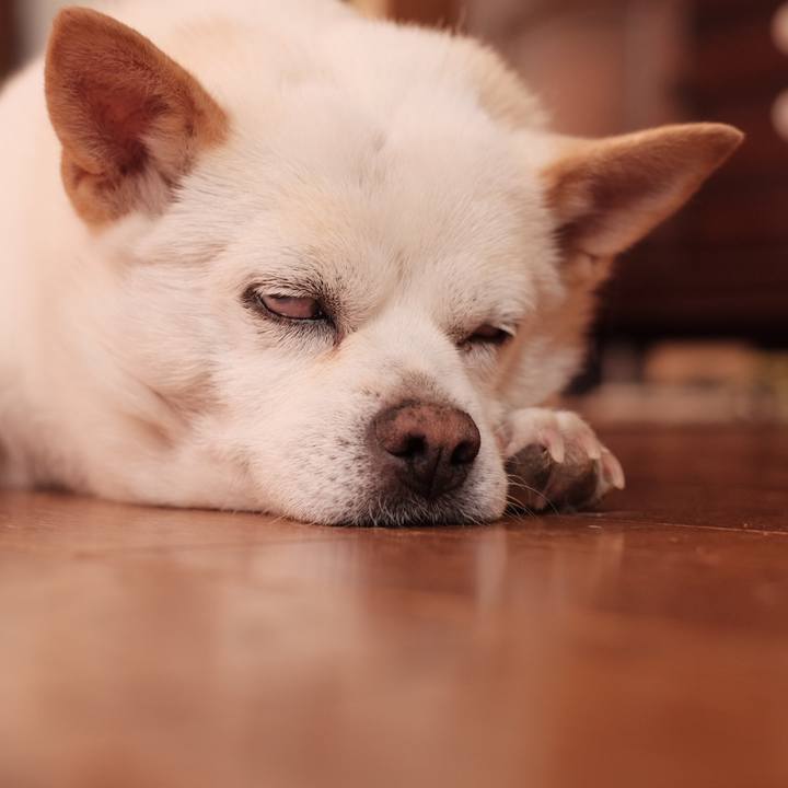 98f6bcf2 0399 46e1 a142 d45074c5a480