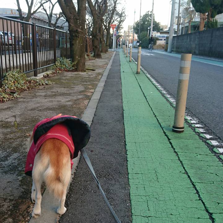 98f6f16c c63d 49d4 a1f4 6af1ea07c925