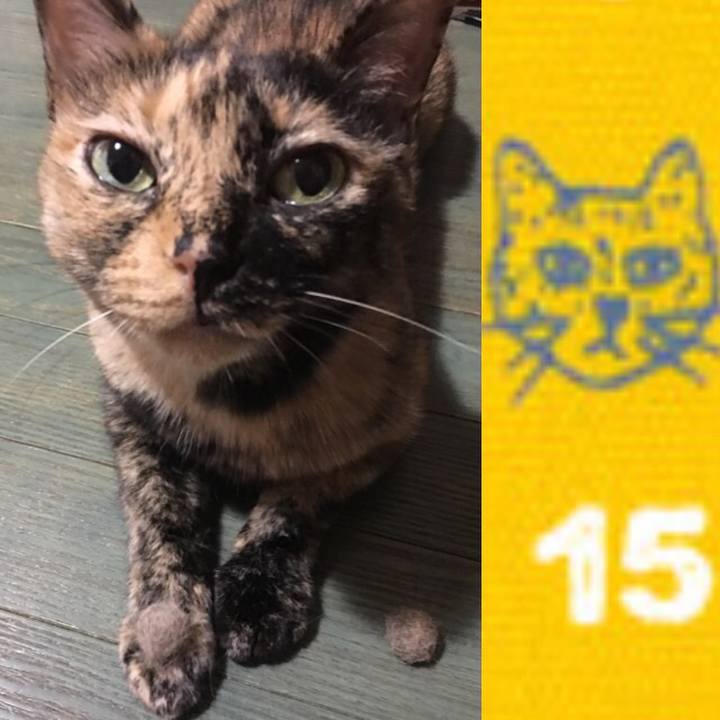 98f775d7 271c 47f7 ad3a cbd3ffb4c914