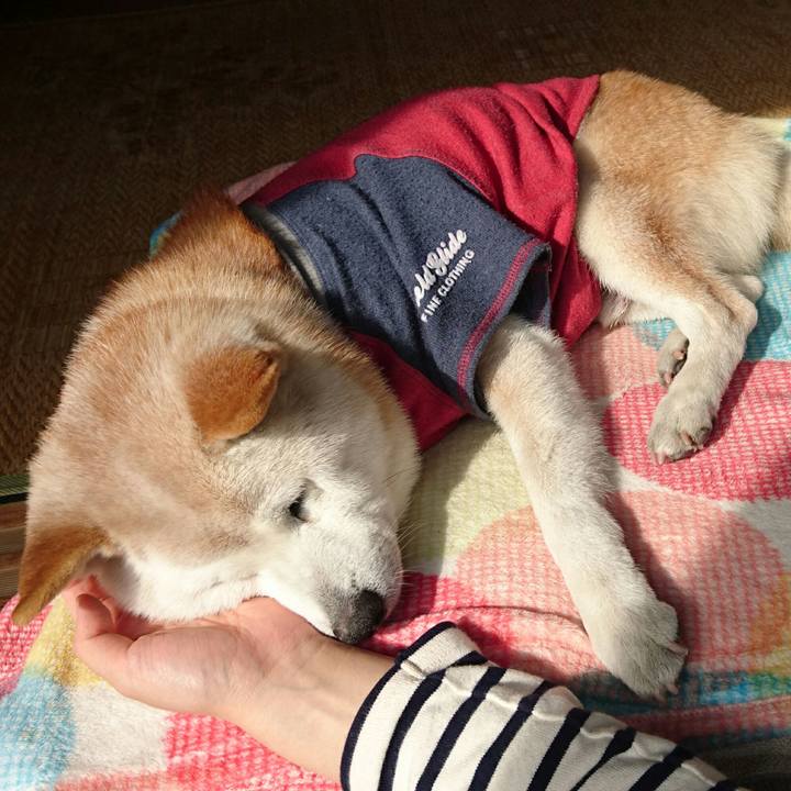 98f7e8fb 6baa 4d4e bff2 4e0126b6cc05