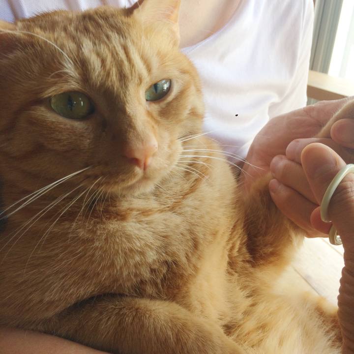 98f863a5 a3f1 4cb3 875b e4bc648362f7