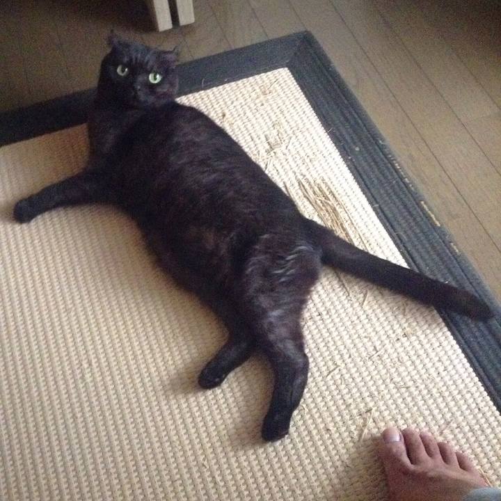 98f89ea3 1999 44c7 b56e 25e52f03f9c2