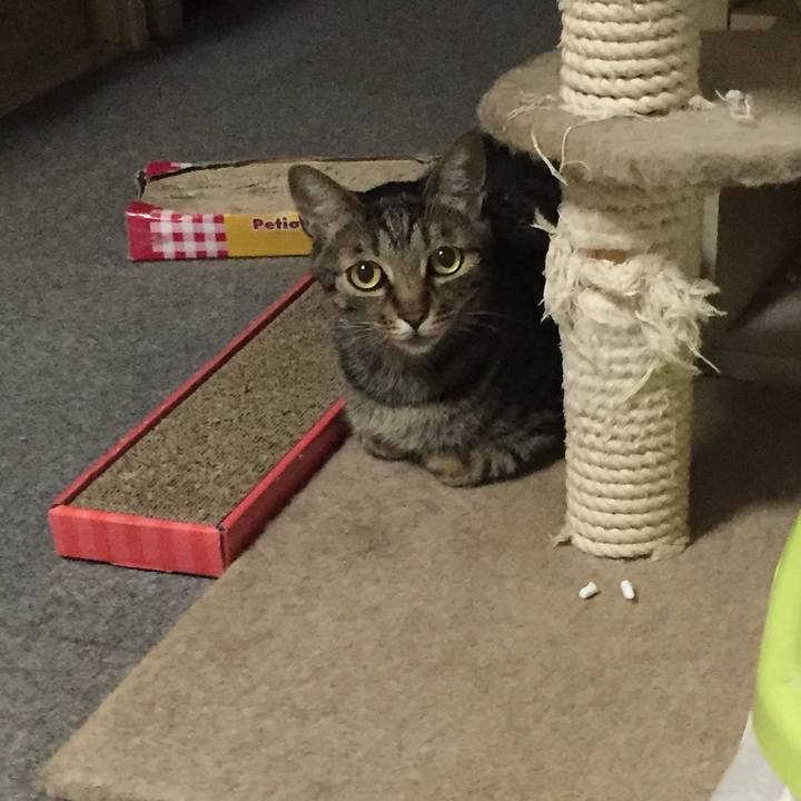 98f947b2 e4bd 4835 8b1a a1c2f145c57d