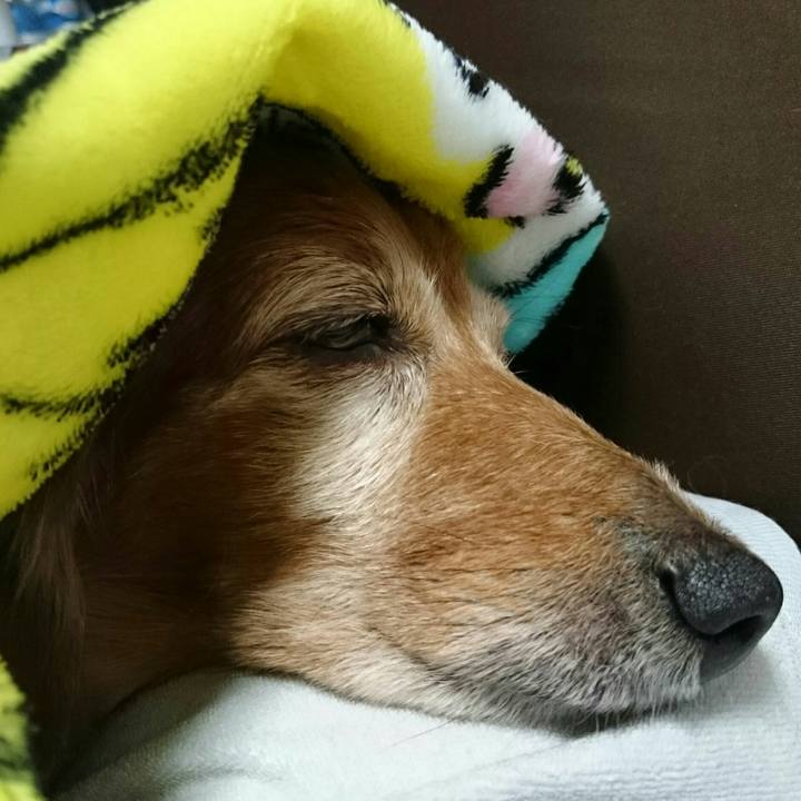 98f9722a 8729 4b86 a59b b204f9fbd26d