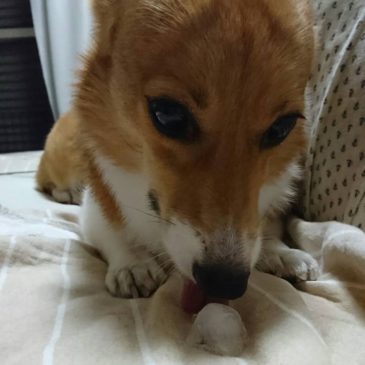 98f980cc 15a0 4d88 8cb2 de22474db0e5