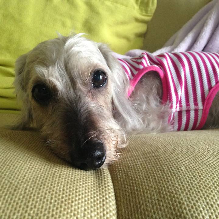 98f9b2cd e2ce 4240 9057 99f4e1feca83