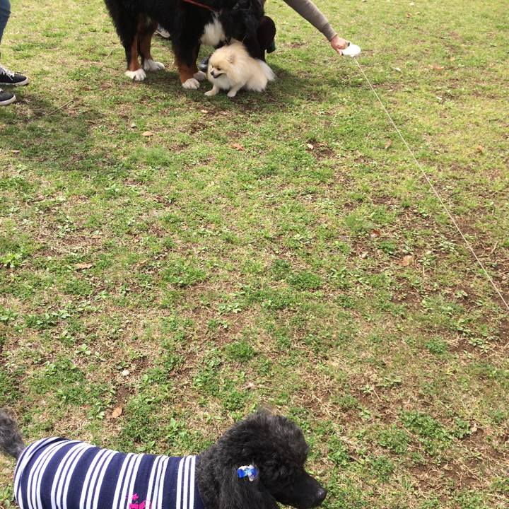 98fa5864 b287 46be aa15 31f37977ff6d