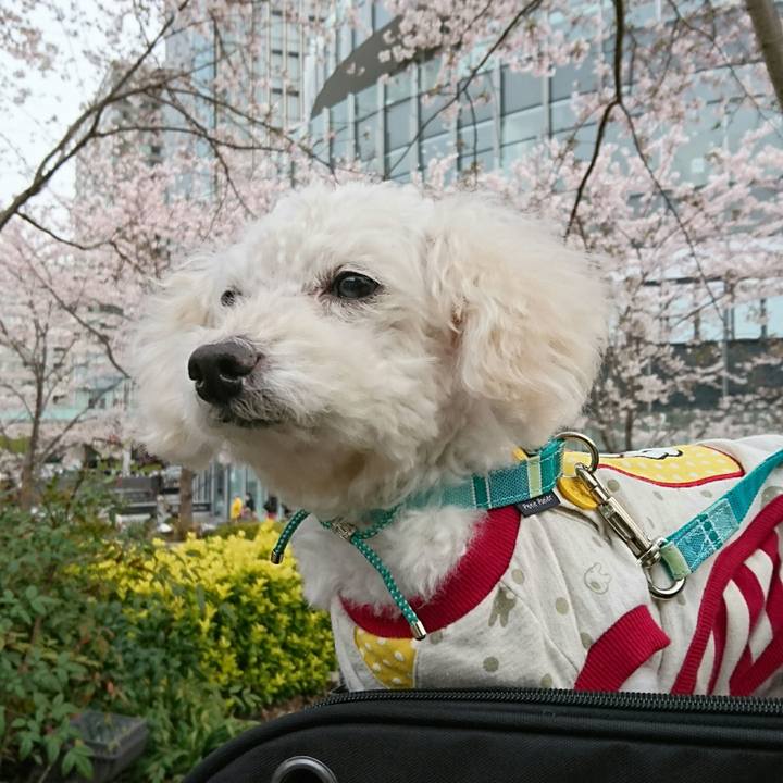 98fa63db 6429 452f 9eb4 965a81abf567