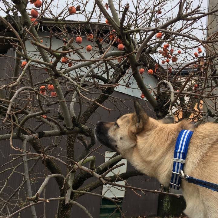 98fa92a5 9c9b 4264 84a0 3f844c9a7b7a