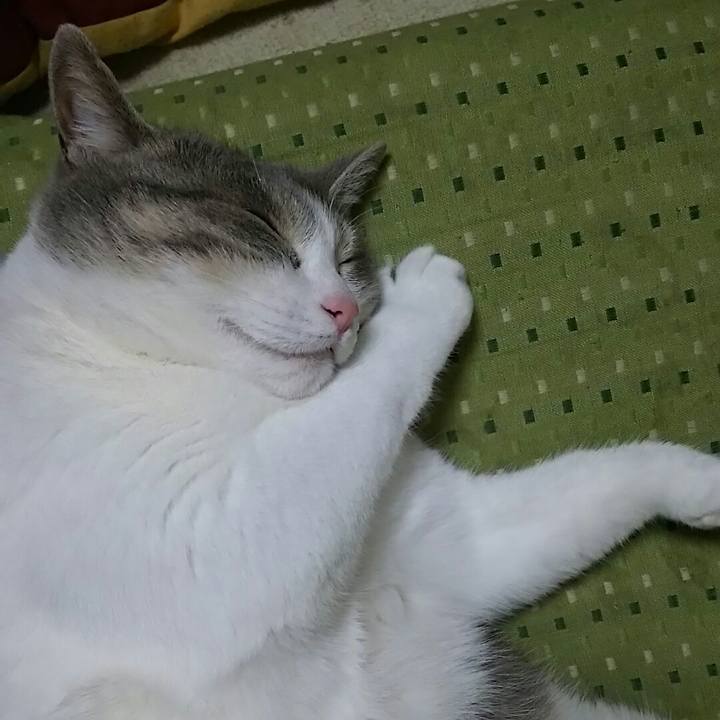 98fb18ce 1054 4f39 8f11 359621f5f4ba