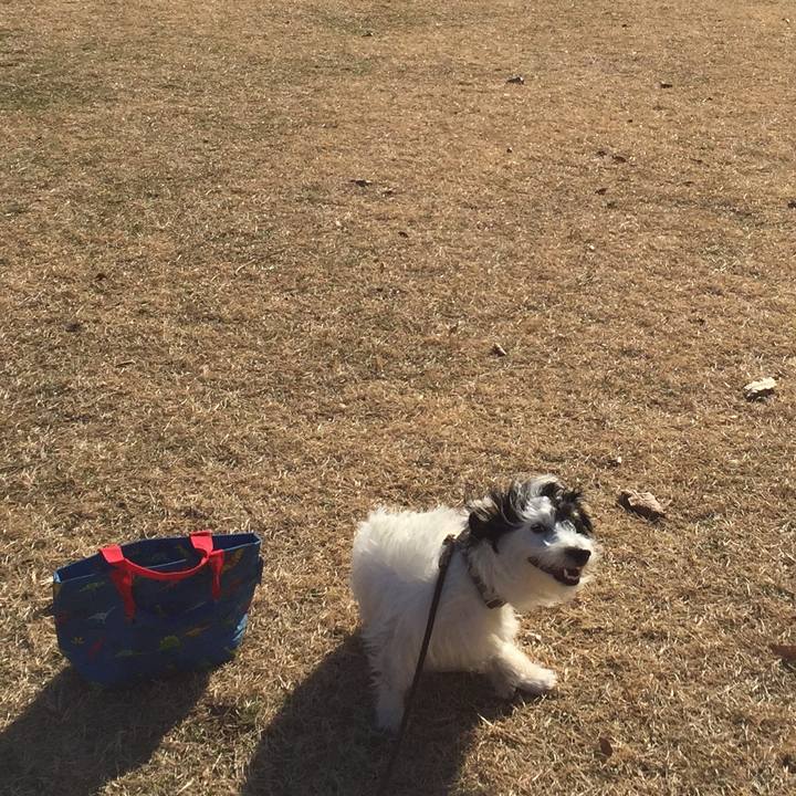 98fb2f66 9a77 40dd 8176 6a5e7197d39f