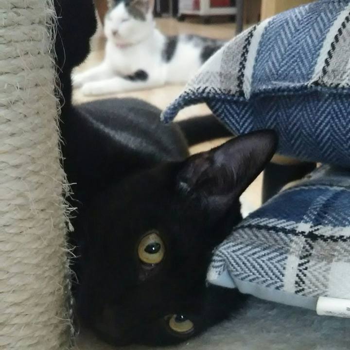 98fb45ba 62ea 489c 8b89 3f74c796fe9b