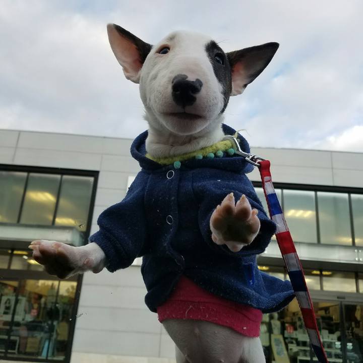 98fbc89f 8062 40d2 99f8 a26008033d45