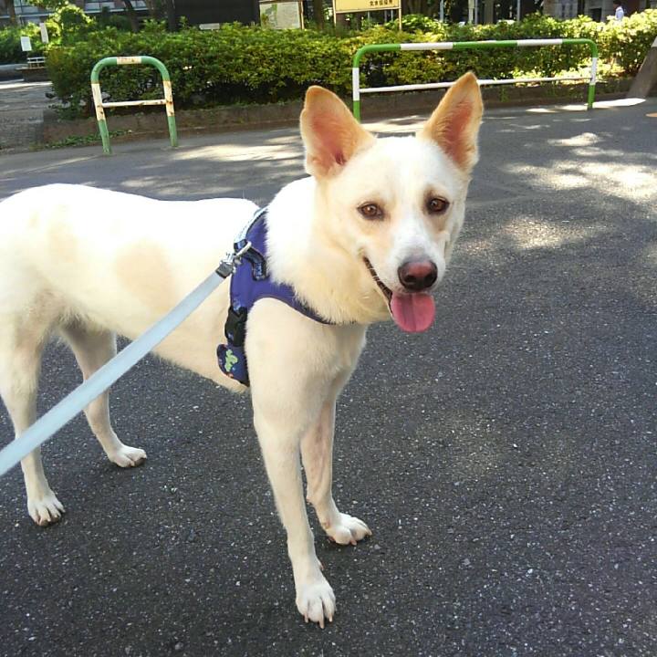 98fbe28c 0bfe 41c6 a31e 6cc56581ea9f