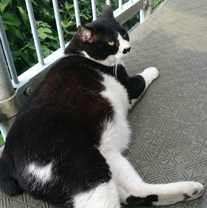 98fc30e8 c9b1 4b49 8016 8c8a8e5fdac0