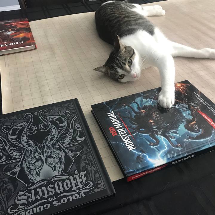 98fc7faa b468 436f 8a40 234df7fc06f3