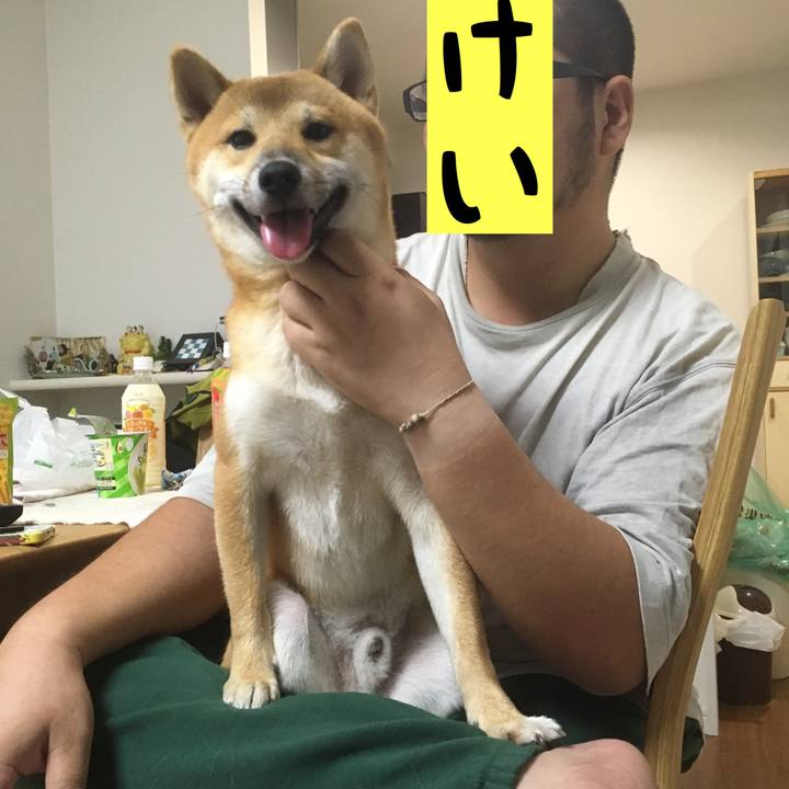 98fd2e59 6653 48c6 9fd5 427258ce9f08