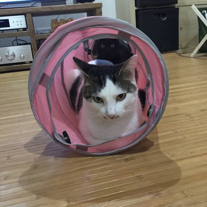 98fda82e c00b 4bf3 b544 61b909e46c46