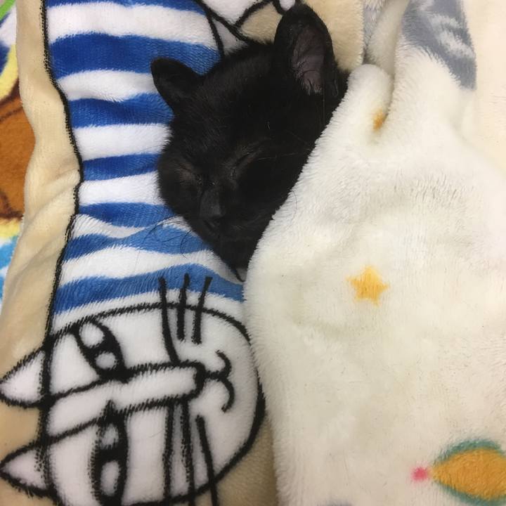 98feae78 a10a 4594 9eb0 8a87a352df60