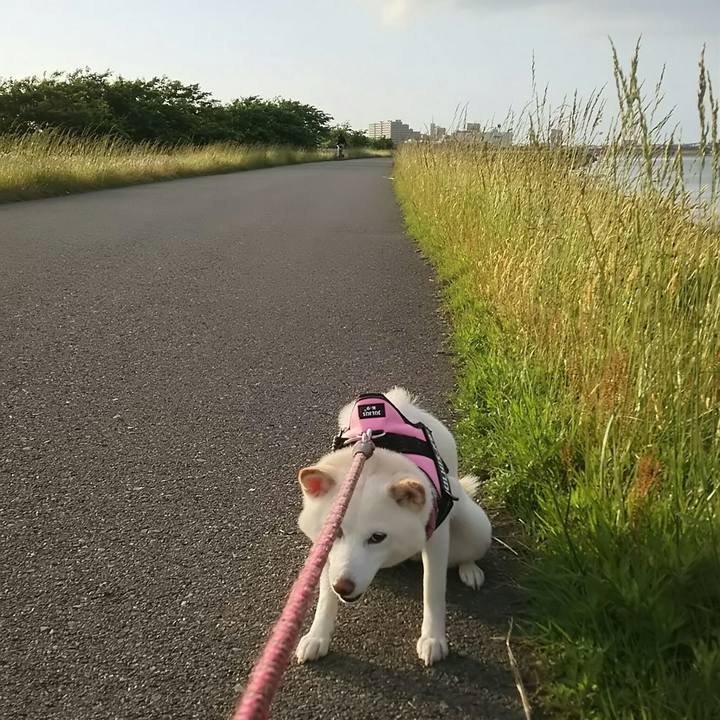 98ff18f2 1e98 45c9 85d0 cdae9b4f8684