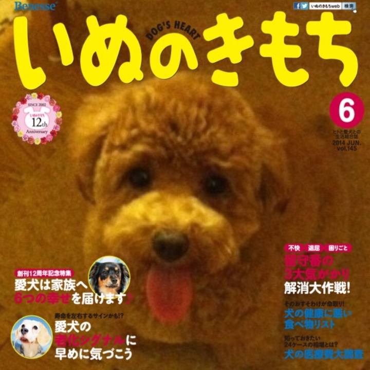 98ff3ed7 7ace 4a38 b9ea 84166cd5e64e