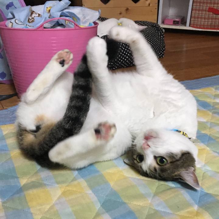 98ff404e b539 40bb 962c 93e85d3b6e65