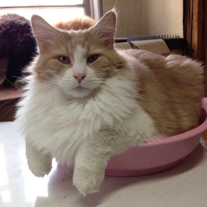 9900c39f 6918 490c 95e4 2b31f20d4cbb