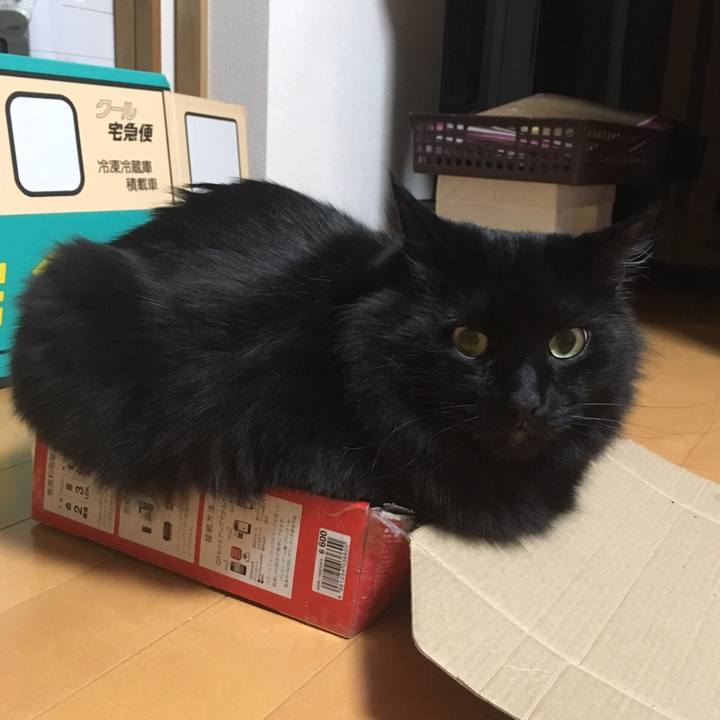 9900f8c8 4573 4709 81a8 a35b3fd09e82