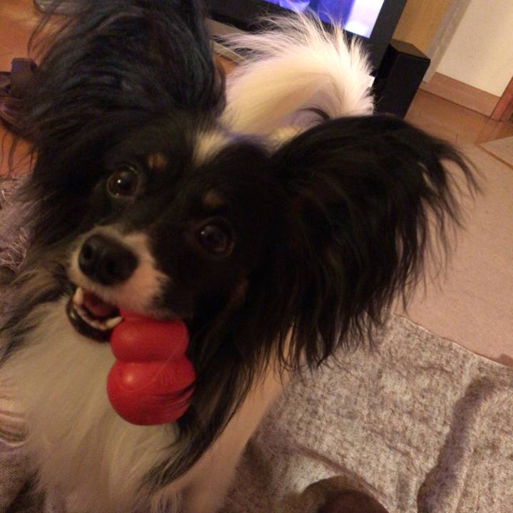 99011f9b 687e 41c4 98c0 50ec3cf6ca3d