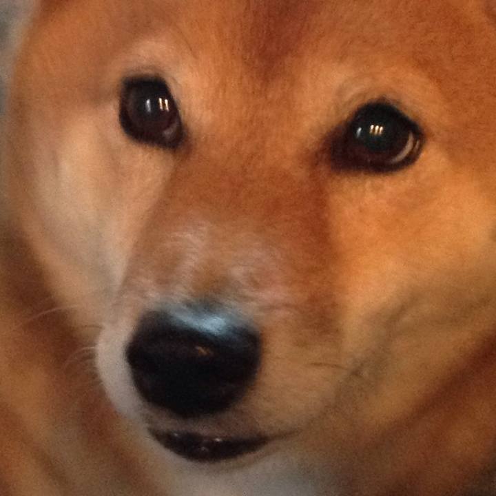 99013b23 7880 4e11 850d 0479c5a48f7b