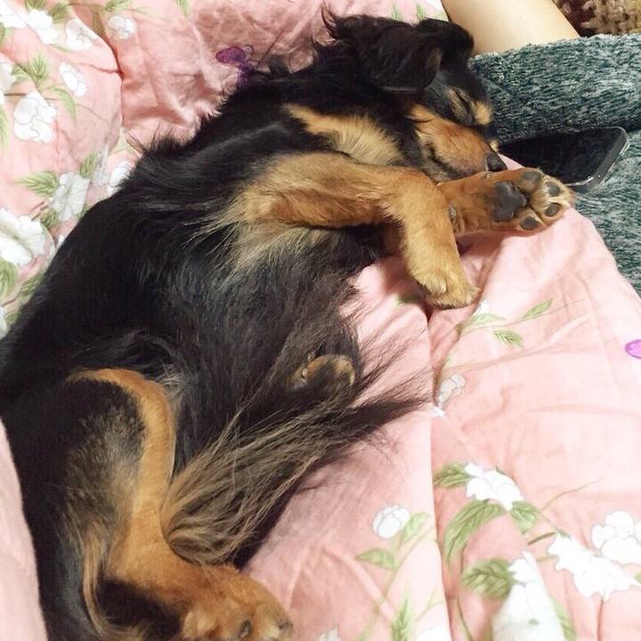 9901716d 7d92 4fc5 8ccb 66e37dc3e709