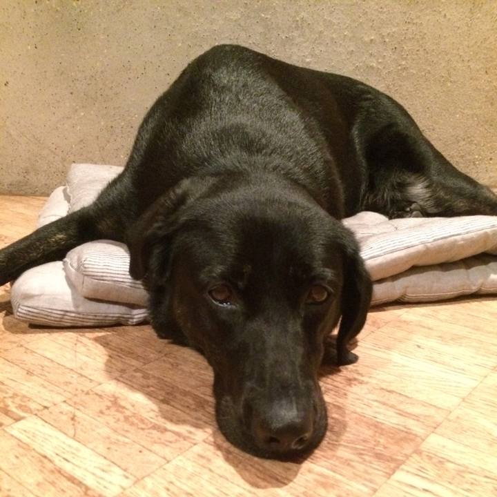 99021d06 0034 418f adcd a39cfeac3e3b