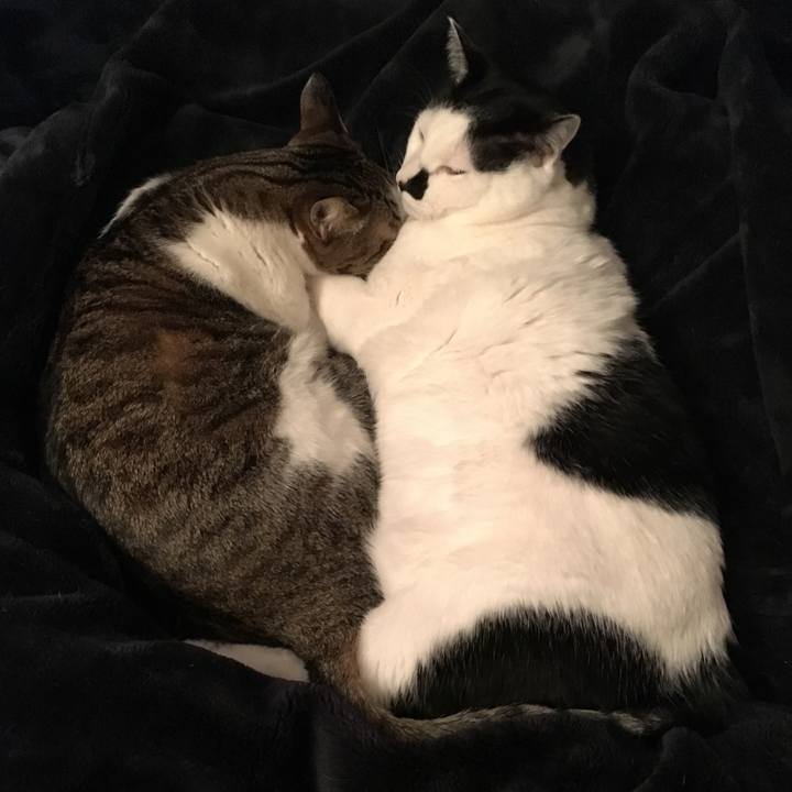 99021e0b 0e67 4612 b1c6 194687a4533c