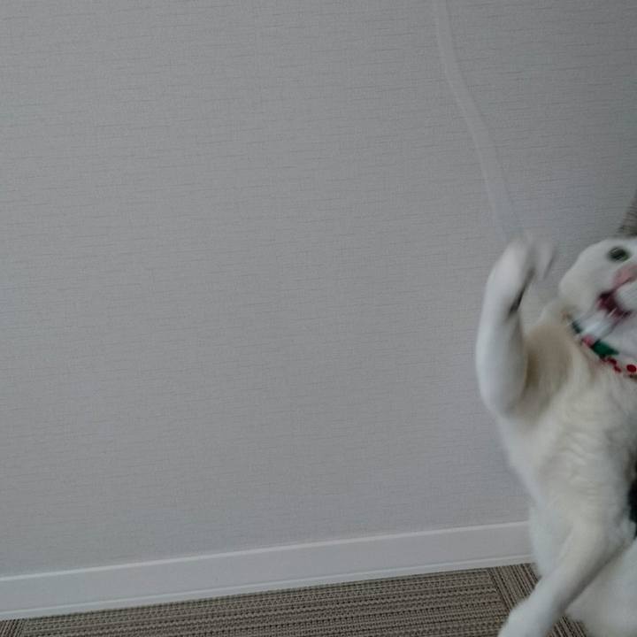 990241c9 976b 46bc a060 9954fe65dc90