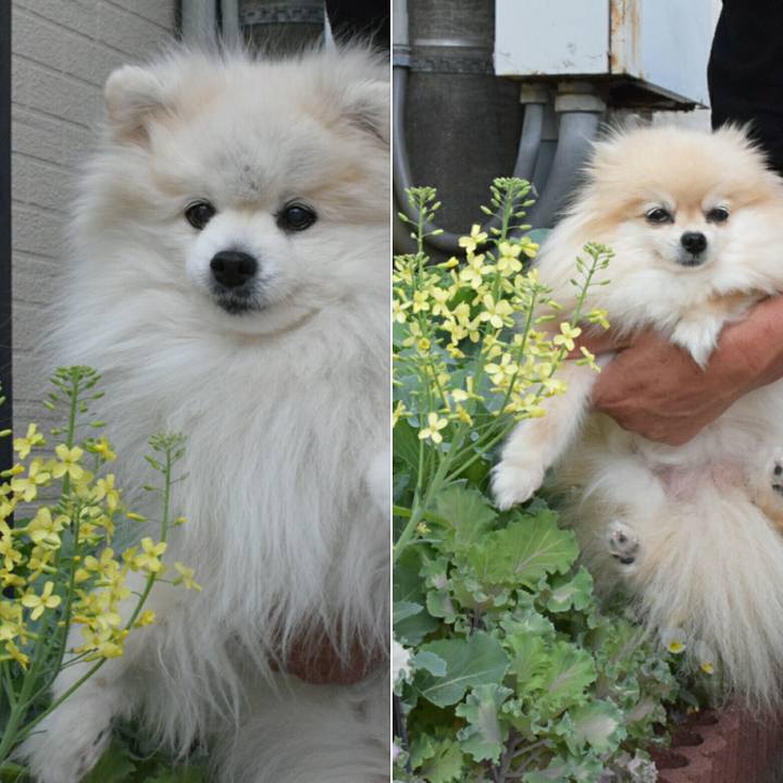 9902426e c671 498a b38c 76fdc0a21585