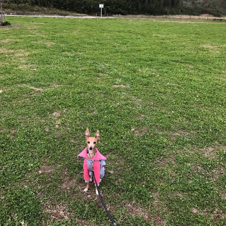 99026a67 5af1 4c0b 8b91 37b01452f46a