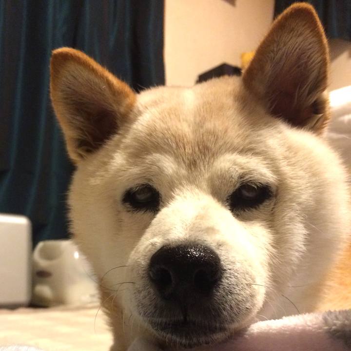 99037105 5a4f 4a1f a1b2 c1fcc05d5ab9