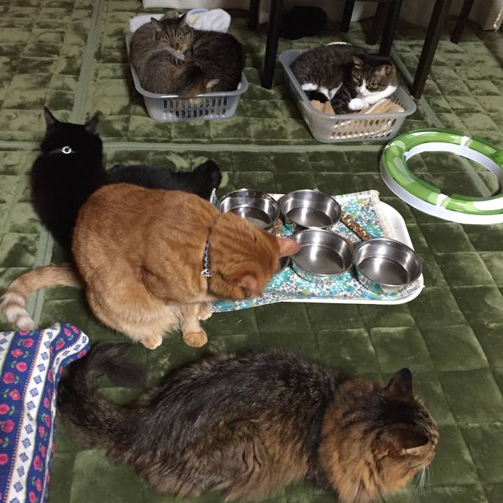 990388ed 71ae 444c bacf 80e0bf0010d8