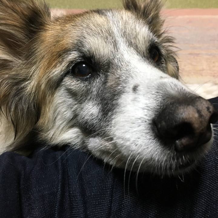 990425dc 8dbc 4c89 a892 4904d42dcdf3