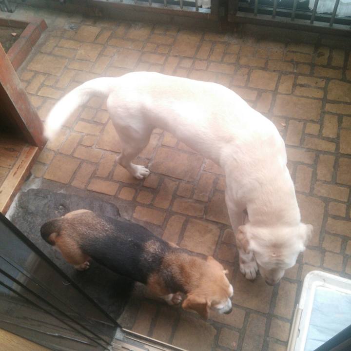 9904c692 bcfc 4703 a596 d754df2f5894