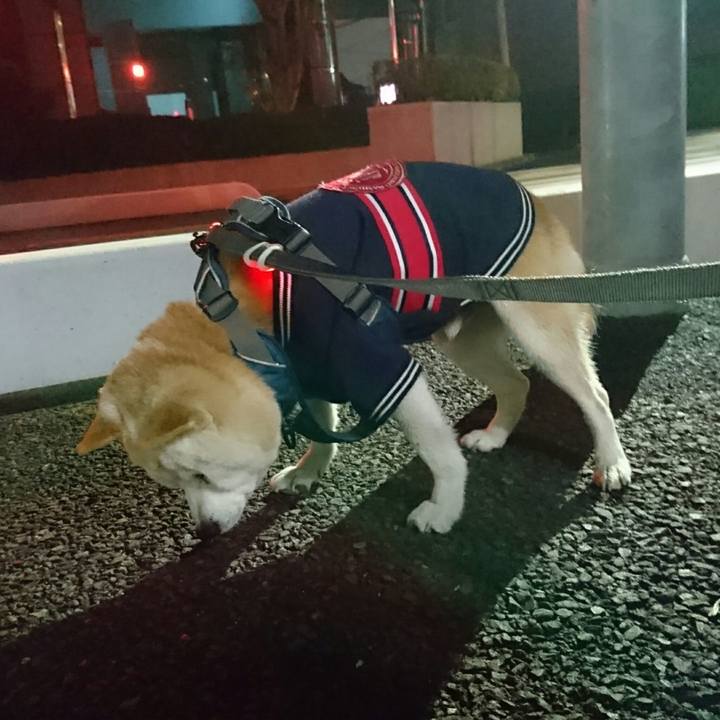 9904d1fe 73ca 4dec ab39 48de80462f7a